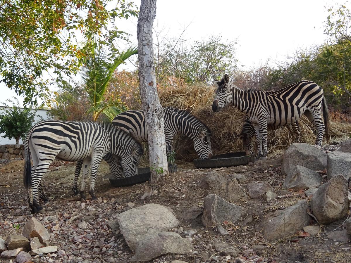 Lake Kariba Inns Siavonga Ngoại thất bức ảnh